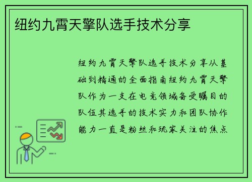纽约九霄天擎队选手技术分享
