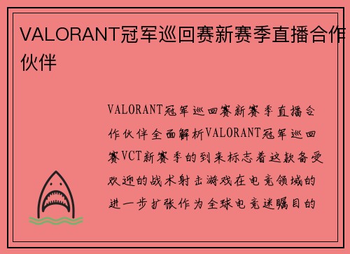 VALORANT冠军巡回赛新赛季直播合作伙伴