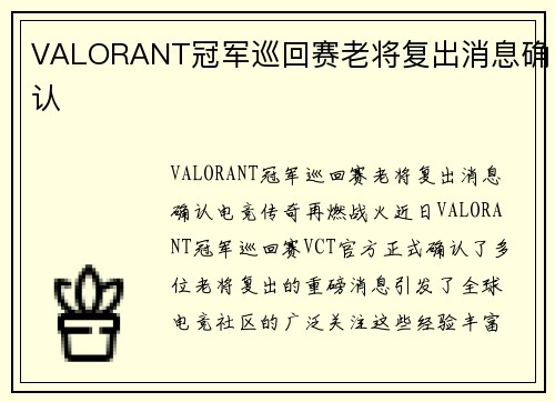 VALORANT冠军巡回赛老将复出消息确认